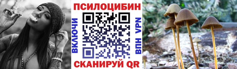 Псилоцибиновые грибы GOLDEN TEACHER Рубцовск