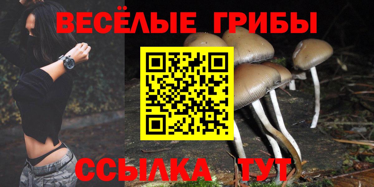 Галлюциногенные грибы прущие грибы  Вход с VPN  Рубцовск 