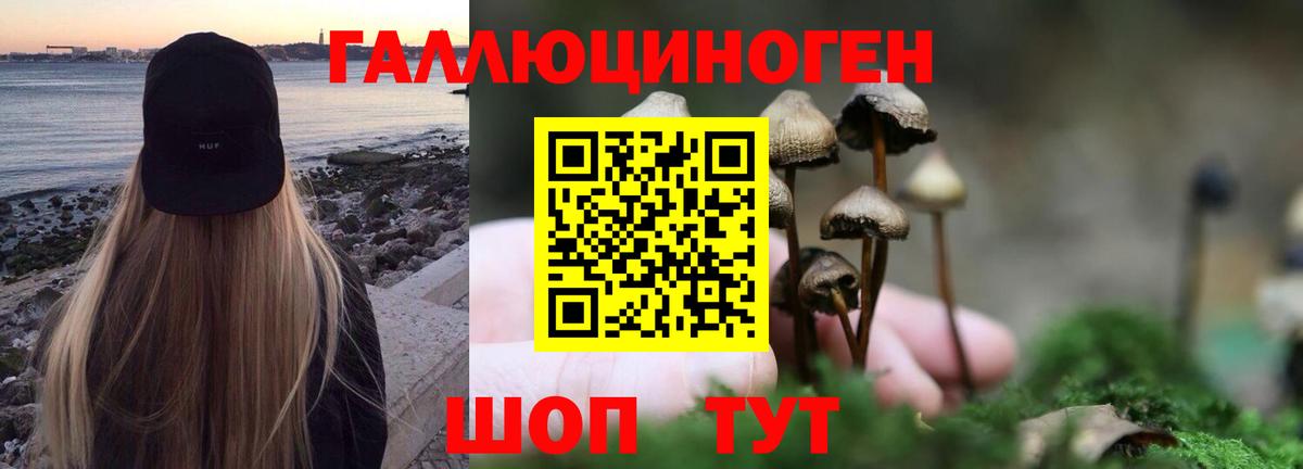 Псилоцибиновые грибы MAGIC MUSHROOMS Рубцовск
